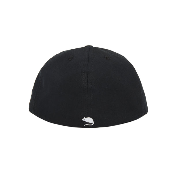 Arch Logo Fitted Hat – STRAY RATS