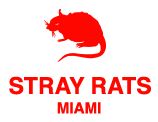 STRAY RATS
